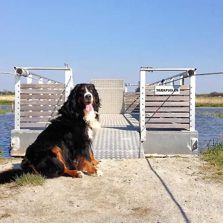 Holiday home Elis - 90m To The Inlet In The Liim Fiord By Interhome *